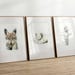 see more listings in the Todo section