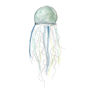 Jelly fish poster / marine animal / seabed / watercolor / handmade / made in Quebec / art / minimal style / Cynthia Paquette image 2