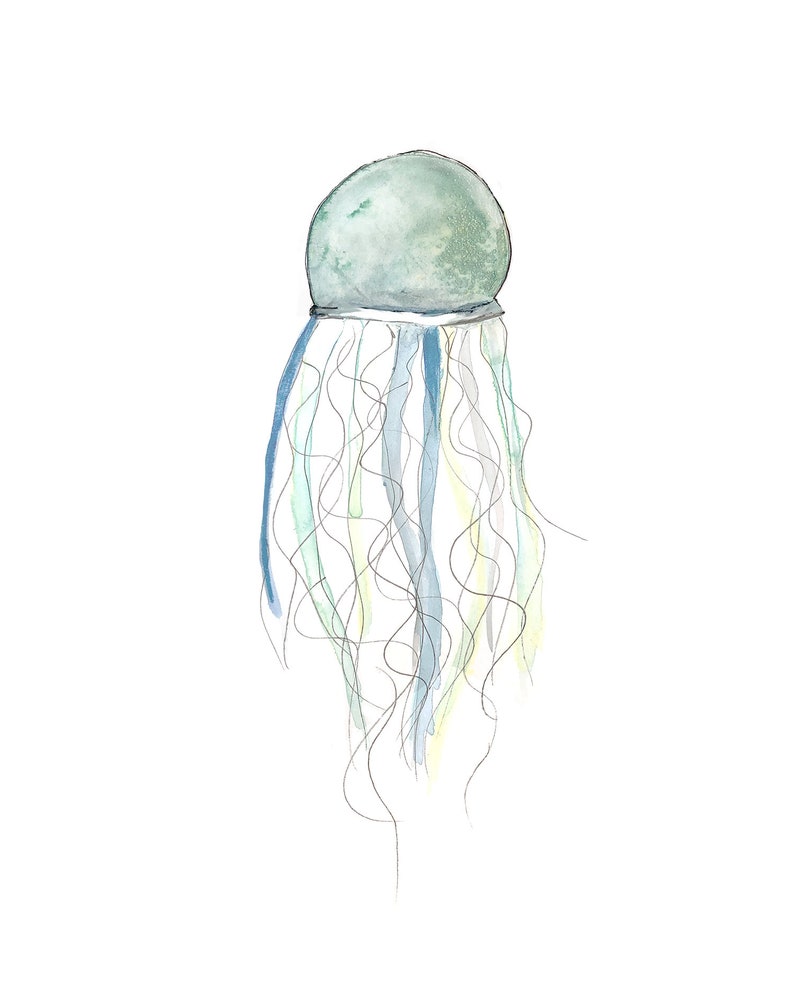 Jelly fish poster / marine animal / seabed / watercolor / handmade / made in Quebec / art / minimal style / Cynthia Paquette image 2