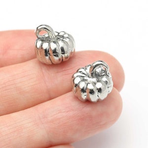 May include: Two small, silver-coloured pumpkin charms. Each charm has a ribbed body and a curved stem. The charms are displayed against a white background.