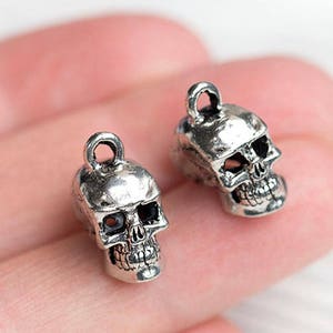 May include: Two small, silver-colored skull charms with a loop at the top for hanging. The skulls have detailed facial features, including eye sockets, a nose cavity, and teeth. The charms are likely for jewelry making or other crafts.