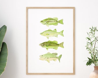 Watercolor Bass print, Bass Watercolor Prints, Largemouth Smallmouth Spotted White Bass Set, Fishing Art Print, Lakehouse Decor