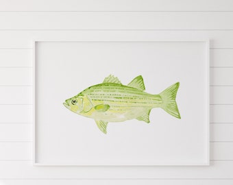 White Bass Watercolor Painting, White Bass Watercolor Print, Watercolor Bass, Fishing Art Print, Lakehouse Decor, Bass Fish Decor, Bass Art