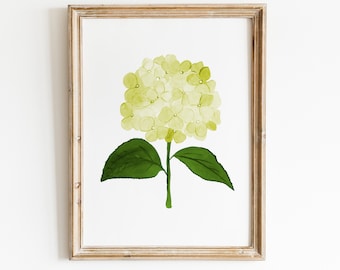 Impresión de hortensia verde acuarela, impresión de acuarela floral de hortensia, impresión de hortensia verde, arte de pared de hortensia de acuarela, pintura de hortensia