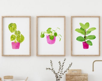 Botanical Print Set, Living Room Wall Art, Pink Home Decor Gift, Money tree Painting, Plant Poster, Leaf Print, house plant art print