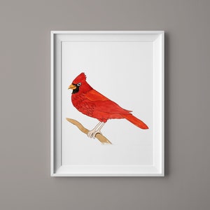 aquarelle rouge cardinal art mural, oiseau de Noël art, Aquarelle Rouge Cardinal Art Print. Cadeau damoureux des oiseaux, décor cardinal, cadeaux cardinaux image 1