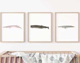 Wal Drucke 3er Set Aquarell, Wal Kinderzimmer Dekor, Fisch Kinderzimmer Wand Kunst, Kinderzimmer Dekor, Wal Kinderzimmer Drucke, Finnwal Druck