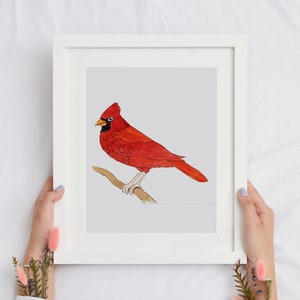 aquarelle rouge cardinal art mural, oiseau de Noël art, Aquarelle Rouge Cardinal Art Print. Cadeau damoureux des oiseaux, décor cardinal, cadeaux cardinaux image 3