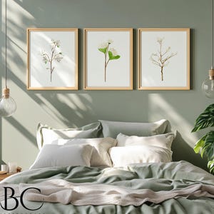 Watercolor Magnolia Print, Set of 3 Watercolor Magnolia, Botanical Art print, Magnolia art, Floral art print set, Botanical Print Set