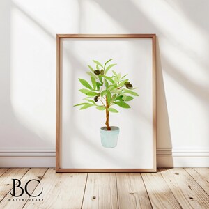 May include: A watercolour painting of a potted olive tree with green leaves and black olives. The tree is in a light blue pot and is set against a white background.