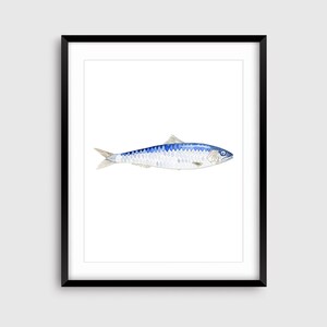 Sardine Fish watercolor art print, Sardine Art Print, Lake house Decor, Beach house decor, Fish Decor, Coastal Wall art image 3