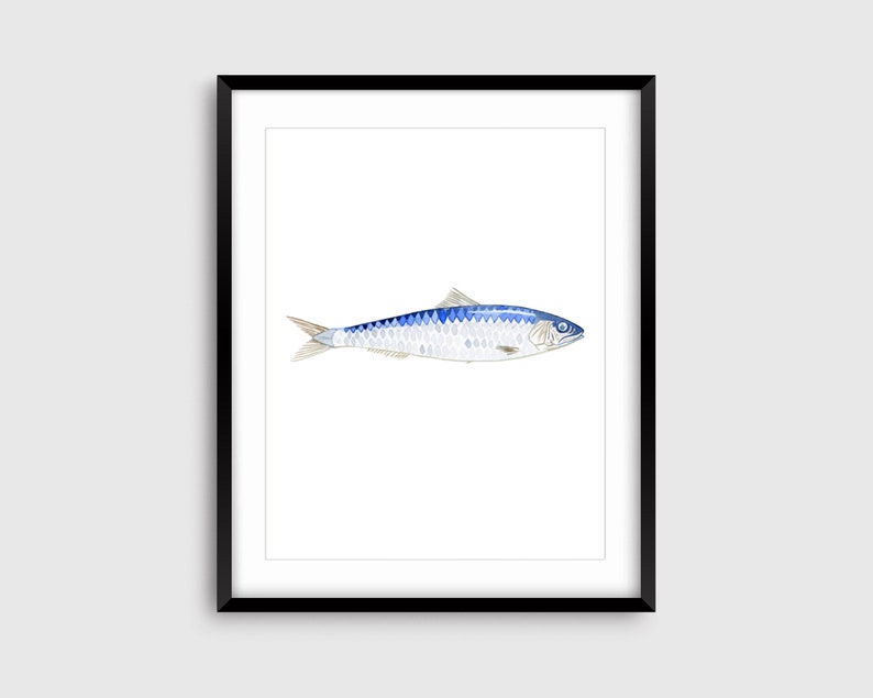Sardine Fish watercolor art print, Sardine Art Print, Lake house Decor, Beach house decor, Fish Decor, Coastal Wall art image 3