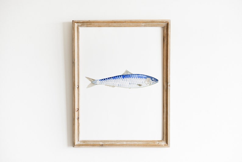 Sardine Fish watercolor art print, Sardine Art Print, Lake house Decor, Beach house decor, Fish Decor, Coastal Wall art image 1