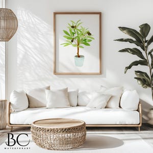 May include: A watercolour painting of a potted olive tree with green leaves and black olives. The painting is framed in a light wood frame and is hanging on a white wall.