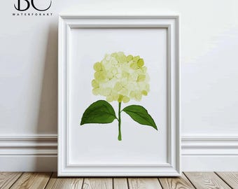 Watercolor Green Hydrangea Print, Hydrangea Floral Watercolor Print, Green Hydrangea Print, Watercolor Hydrangea Wall Art,Hydrangea Painting