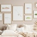see more listings in the Fish, Lake Wall Art section