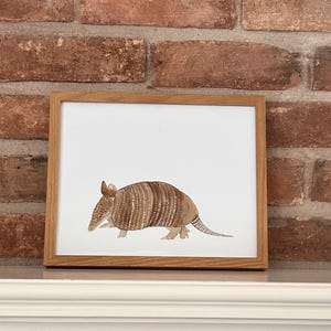 May include: A framed watercolor painting of a brown and tan armadillo on a white background. The armadillo is walking to the right and has a long tail.
