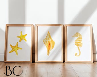 Watercolor Coastal Art Print Set of 3, Beach theme Nursery beach house and lake house decor, Seahorse starfish & shell art, Beach lover Gift