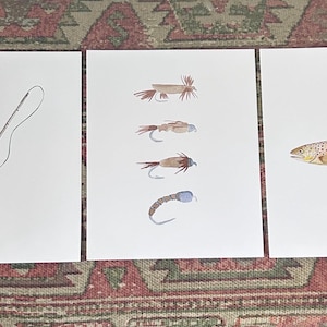 May include: Three watercolor prints depicting fly fishing. The first print shows a fly fishing rod and line. The second print shows five different fly fishing lures. The third print shows a brown trout fish with the text "Brown Trout" below it.