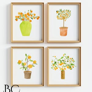 May include: Set of four watercolor prints featuring orange trees in various arrangements. The prints depict orange trees in pots and vases, with lush green leaves and vibrant orange fruit.