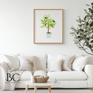 May include: A watercolour painting of a potted olive tree with green leaves and black olives. The tree is in a light blue pot and is set against a white background.