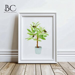 May include: A watercolour painting of a small olive tree in a light blue pot. The tree has green leaves and dark green olives.