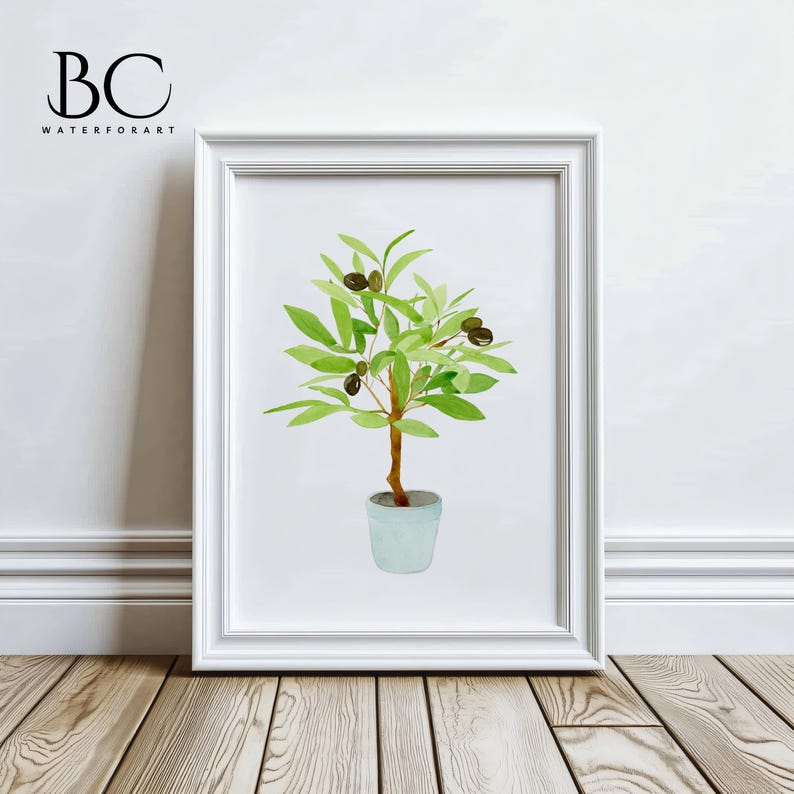 May include: A watercolour painting of a small olive tree in a light blue pot. The tree has green leaves and dark green olives.