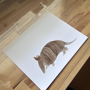 May include: A watercolor painting of an armadillo on white paper. The armadillo is brown and has a detailed shell with white stripes. The painting is on a wooden surface.
