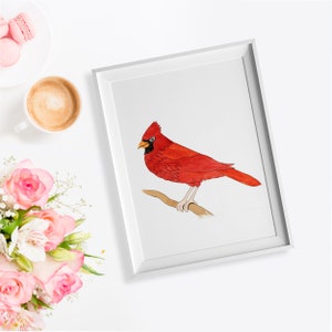 aquarelle rouge cardinal art mural, oiseau de Noël art, Aquarelle Rouge Cardinal Art Print. Cadeau damoureux des oiseaux, décor cardinal, cadeaux cardinaux image 2