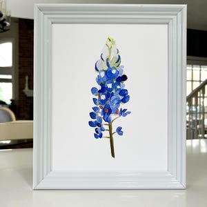 May include: A framed watercolor painting of a bluebonnet flower. The flower is blue with a white center and is painted on a white background.