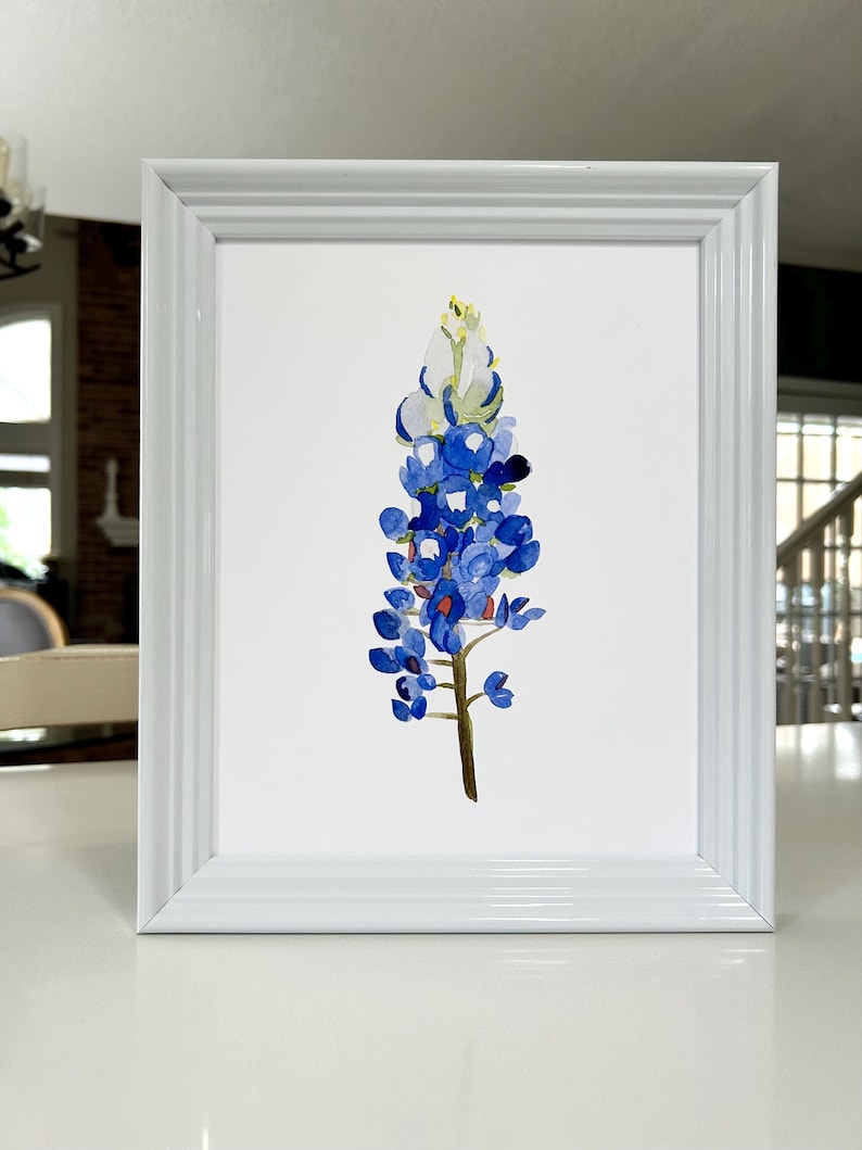 May include: A framed watercolor painting of a bluebonnet flower. The flower is blue with a white center and is painted on a white background.