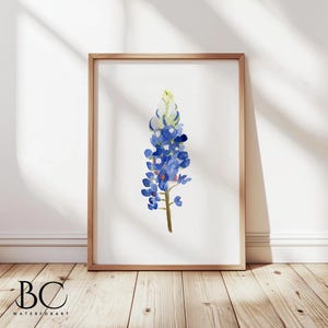 Watercolor Bluebonnet Painting Art Print, Texas Hill Country Wildflower Home Wall Decor, Country Living, Farmhouse, Gift for Flower Lovers