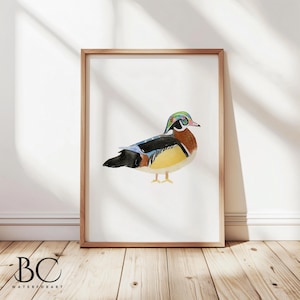 Wood duck wall art print, Wood duck wall decor, Watercolor duck poster, wood duck nursery, Nursery print, Duck gift