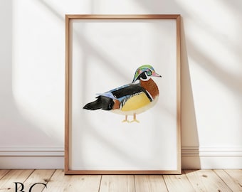 Wood Duck #1 PRINT - Etsy