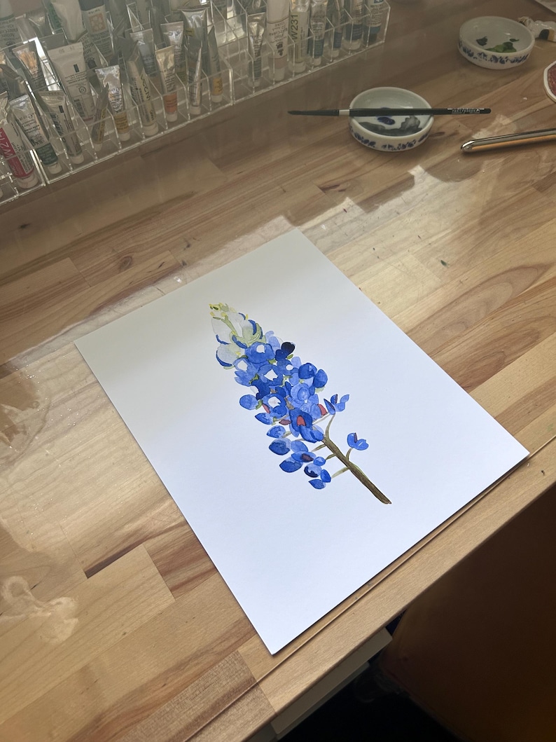 May include: A watercolor painting of a bluebonnet flower on white paper. The flower is blue with a white center and green stem.