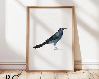 Watercolor Grackle Art Print: Bird Lover's Home Decor