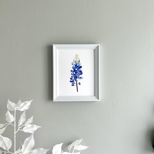 May include: A framed watercolor painting of a bluebonnet flower, a Texas state flower, on a light gray wall.