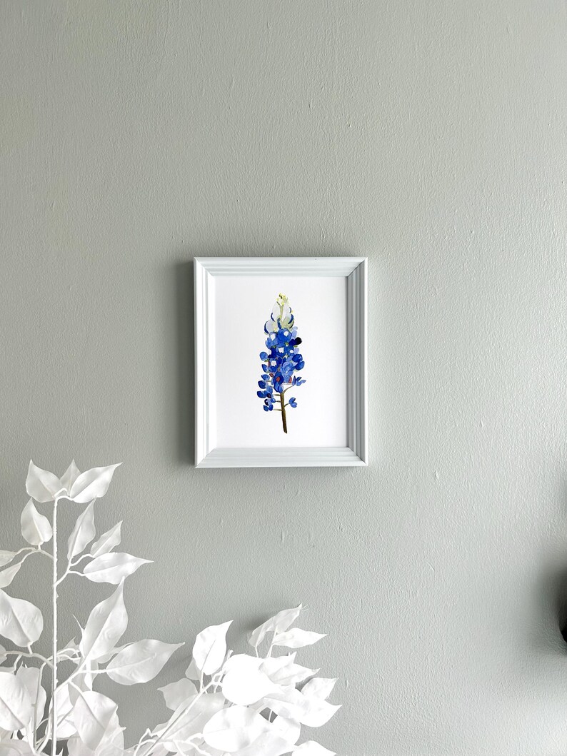 May include: A framed watercolor painting of a bluebonnet flower, a Texas state flower, on a light gray wall.