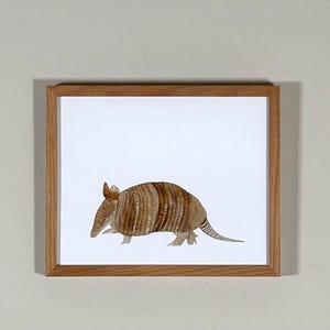 May include: A framed watercolor painting of a brown and white armadillo on a white background.