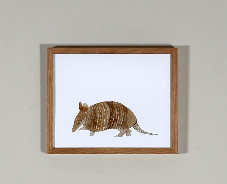 May include: A framed watercolor painting of a brown and white armadillo on a white background.