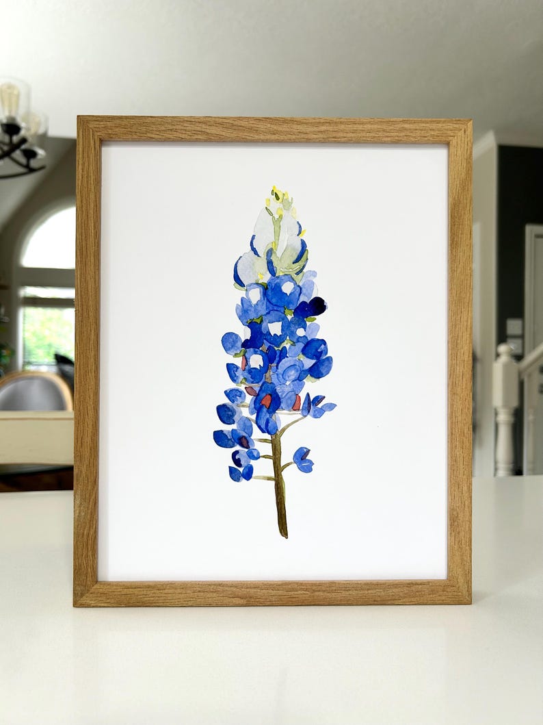 May include: A framed watercolor painting of a bluebonnet flower. The flower is depicted in shades of blue, green, and white, with a yellow center. The painting is set against a white background.