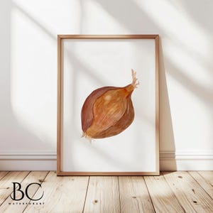 Onion Watercolor Print, Vegetable decor, Vegetable Art, Kitchen Wall Art, Kitchen Decor, cooking gift, food art, onion lover gift, chef gift