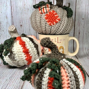 May include: Handmade crochet pumpkins in various colors, including gray, orange, white, and brown. One pumpkin rests on a mug with the text "Spell on You". The pumpkins have green stems and decorative patches.