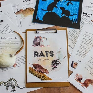 Rats Unit Study
