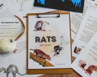 Estudio de la unidad de ratas