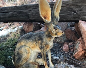 Jack Rabbit