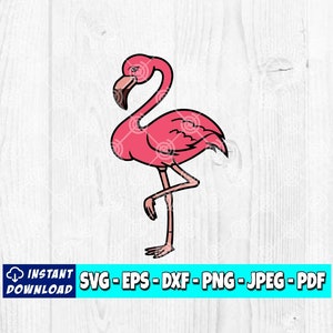 Flamingo SVG | Flamingo Clipart | Summer Svg | Tropical Svg | Vacation Svg | Flamingo Print | Cricut Files | Silhuettes File | Digital File