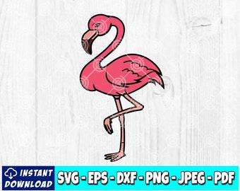 Flamingo SVG Clipart: Summer Tropical Design (Digital File)