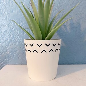 May include: A small potted succulent plant with green leaves in a white ceramic pot with a black geometric pattern around the rim.