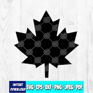 Maple Leaf Clipart SVG PNG | Fall Leaf Digital Download | Autumn Watercolor Leaves for Sublimation, Stickers, and Crafts